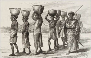 Fun facts of slavery- Image of The Rise of Slavery
