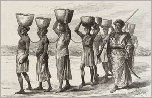 Fun facts of slavery- Image of The Rise of Slavery