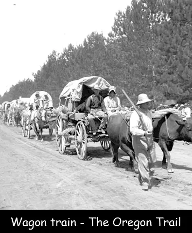 The Oregon Trail