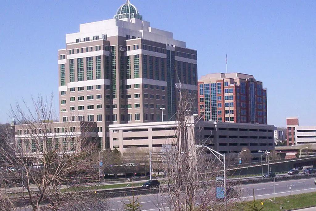 Department Of Environmental Conservation