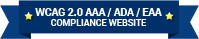 Web Accessibility Policy Image